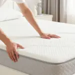 How to Get Rid of Fleas in Your Bedroom Like a Pro