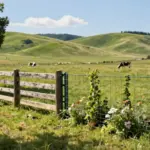 14 Electric Fencing for Ranchers and Property Owners