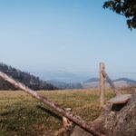 fence cost per linear foot