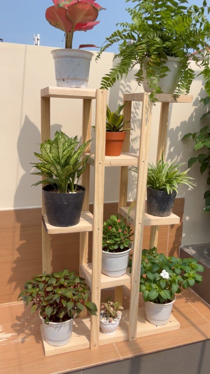 A multi-tiered wooden plant stand holding various green potted plants on a sunny outdoor patio.