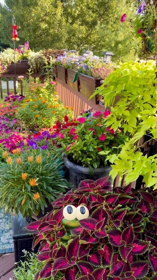 Colorful flowers in various containers line a wooden deck railing surrounded by green trees.