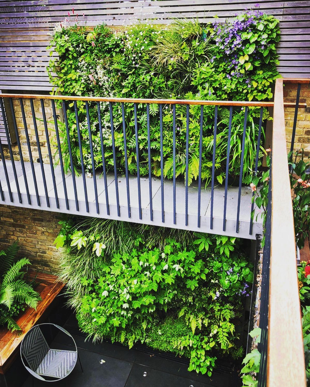 Lush vertical garden with green plants and purple flowers on a multi-level wooden deck.